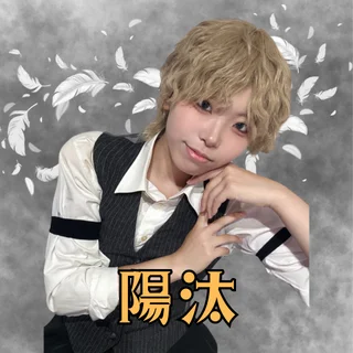陽汰