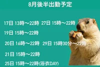 投稿：2025年8月20日 19:46