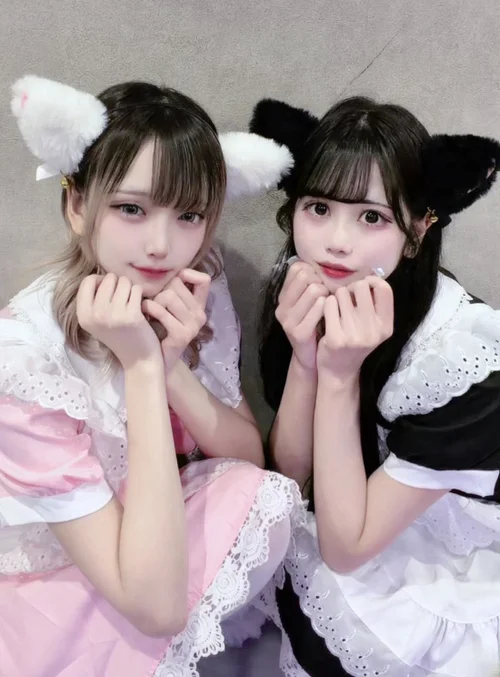 コンセプトカフェ　シュガー