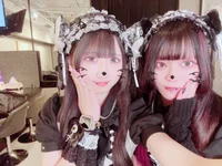 投稿：2025-11-11 21:20:36