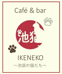 《 🐾本日もそっとお席をあたためて待ってるにゃ🐾 》