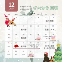 🐾✨ 池猫ピックアップニュース 12月号にゃ！ ✨🐾