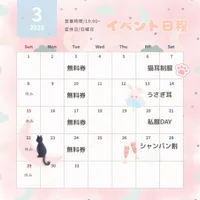 本日の出勤情報🐈