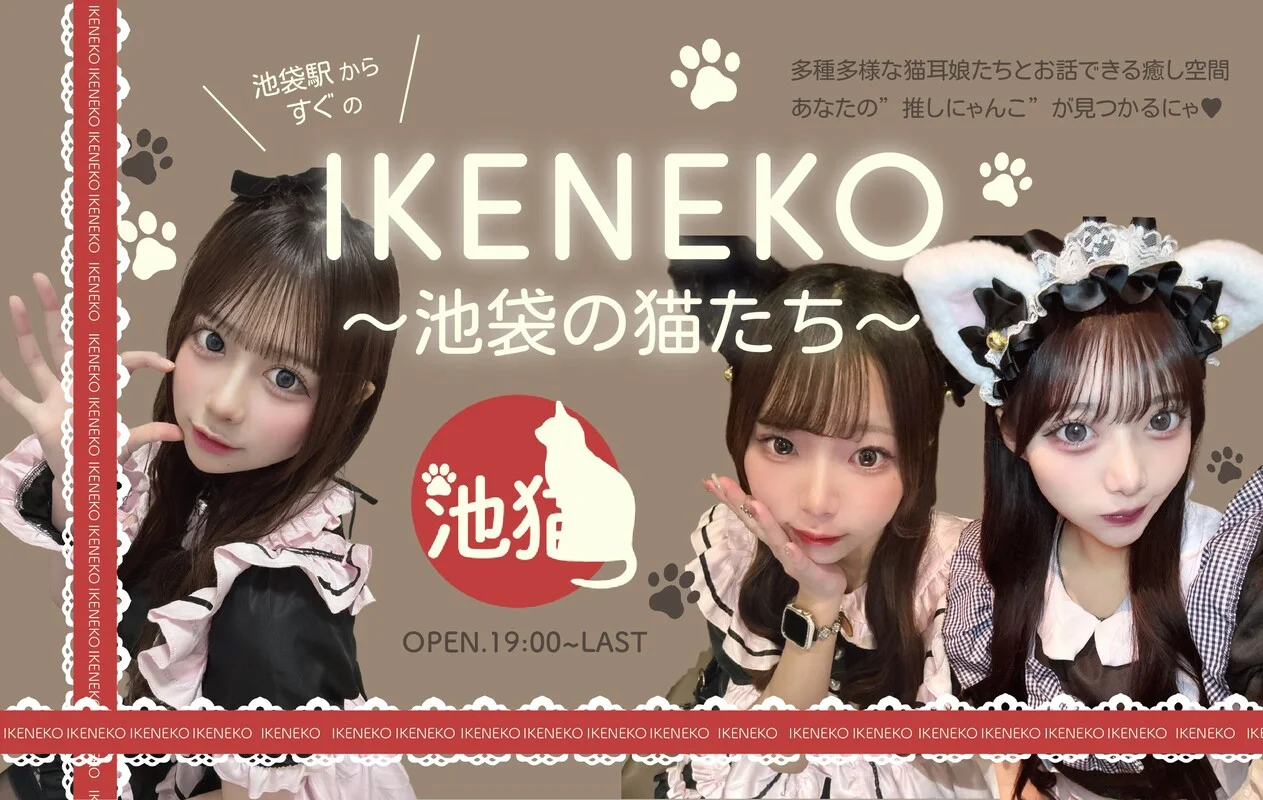 池猫 ~池袋の猫たち~