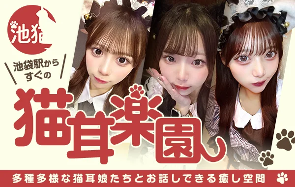 池猫 ~池袋の猫たち~