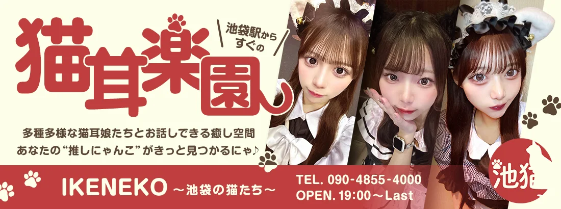 池猫 ~池袋の猫たち~