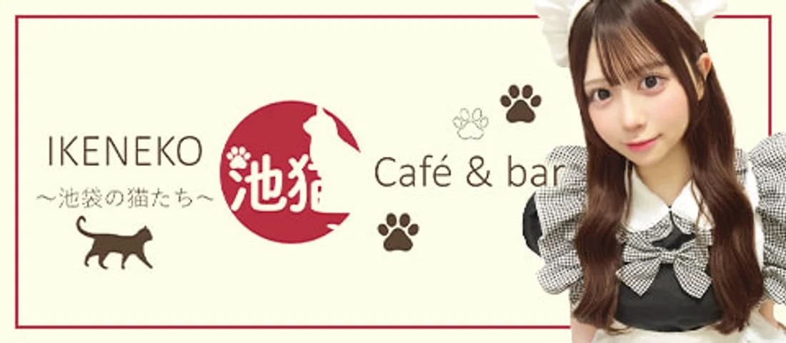 池猫 ~池袋の猫たち~