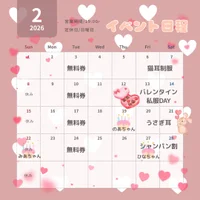 🐾✨ 池猫 2月イベント告知にゃ！ ✨🐾