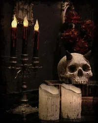 投稿：2025-08-22 20:51:52