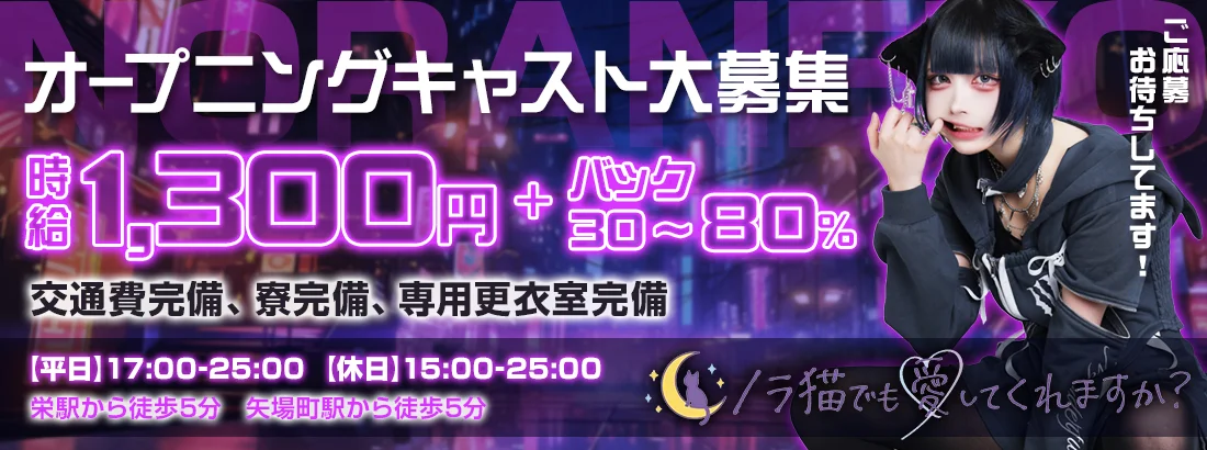ノラ猫でも愛してくれますか？