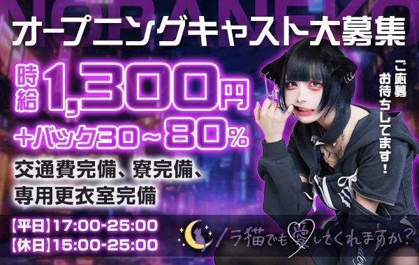 ノラ猫でも愛してくれますか？