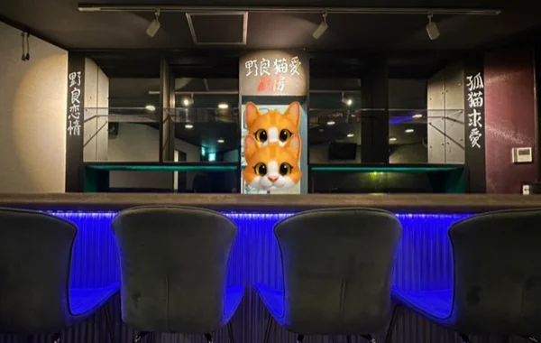 ノラ猫でも愛してくれますか？