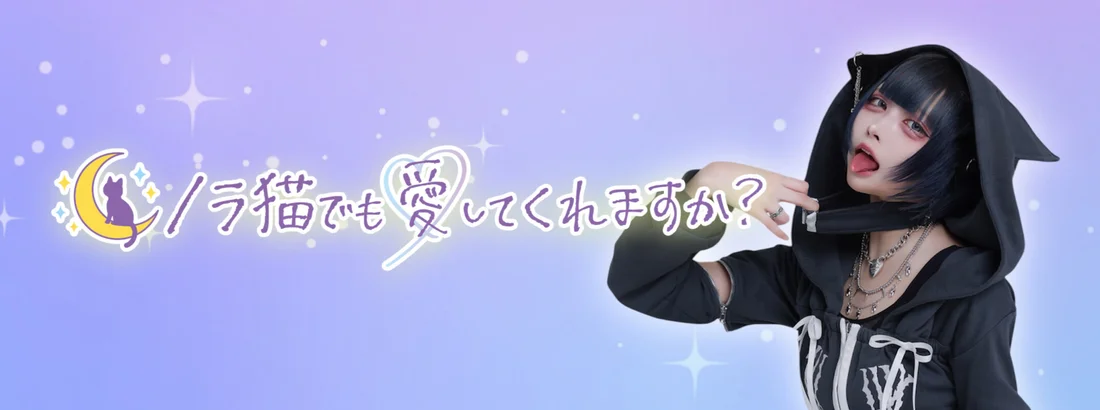 ノラ猫でも愛してくれますか？のイメージ