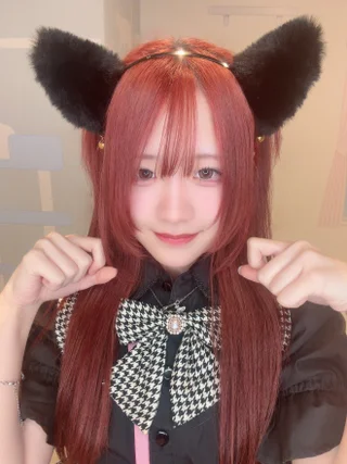 キャストイメージ