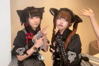 投稿：2026年2月1日 15:36