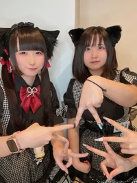 投稿：2026年2月1日 15:36