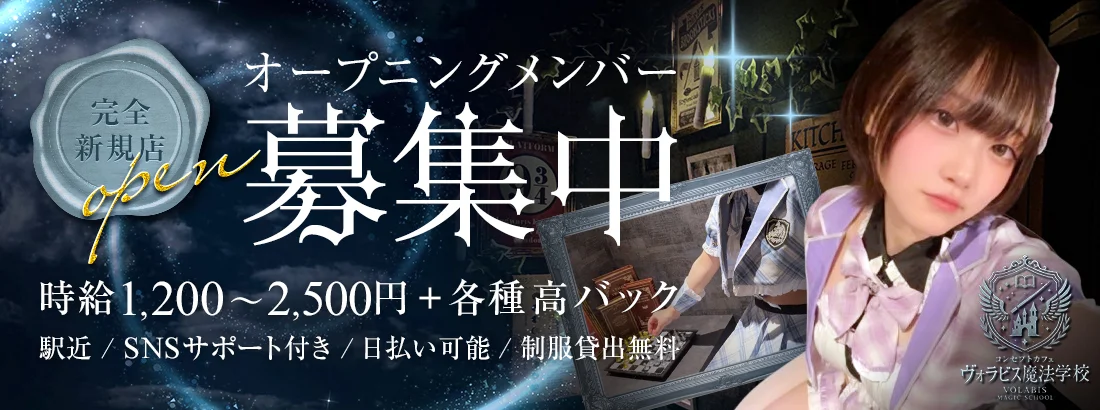 ヴォラビス魔法学校