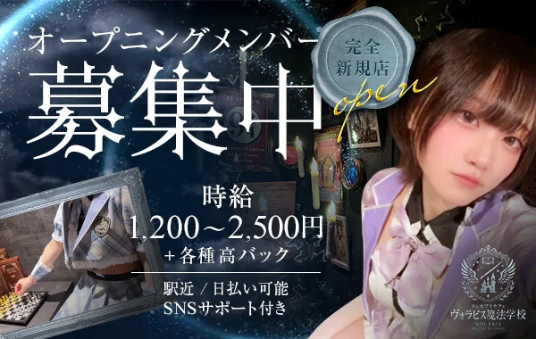 ヴォラビス魔法学校