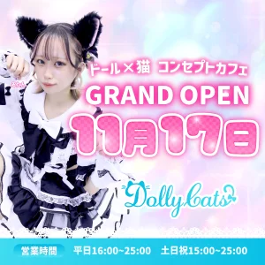 完全新規オープン