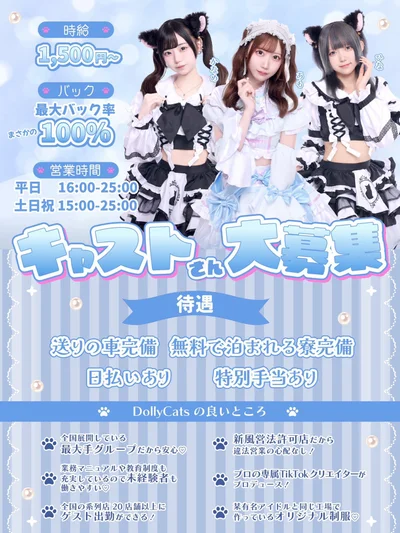 🐾2025.11.17  GRAND OPEN🐾