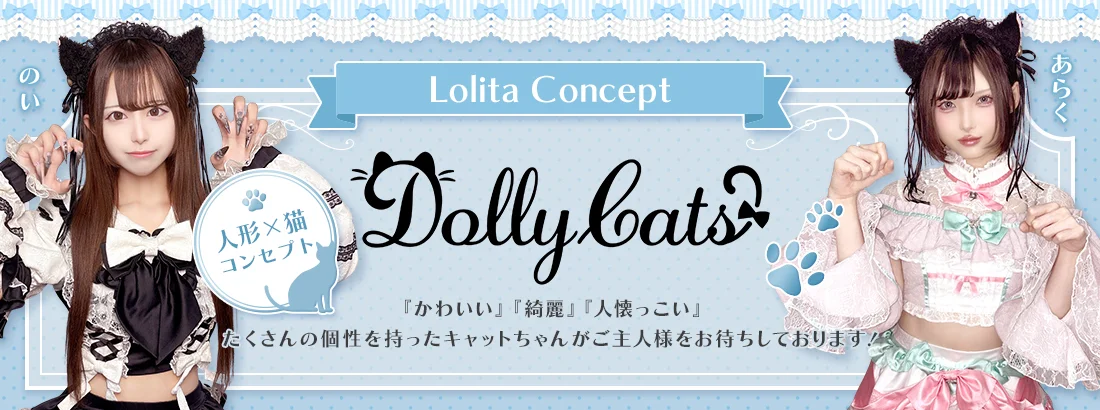Dolly Catsのイメージ
