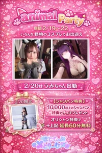 投稿：2026年2月19日 18:13