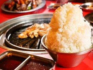 まかない無料！