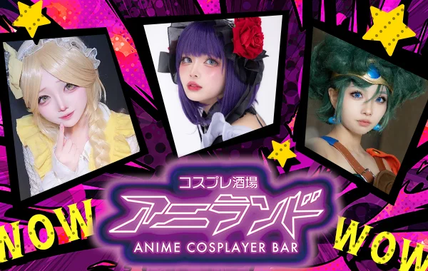 アニランドのイメージ