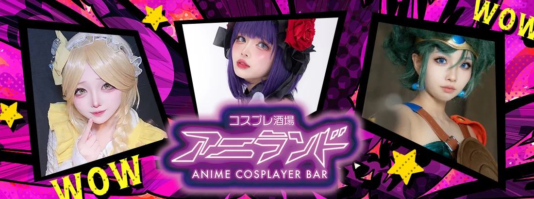 アニランドのイメージ