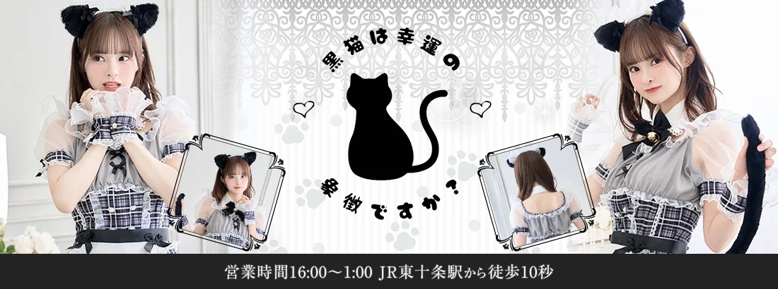 黒猫は幸運の象徴ですか？のイメージ