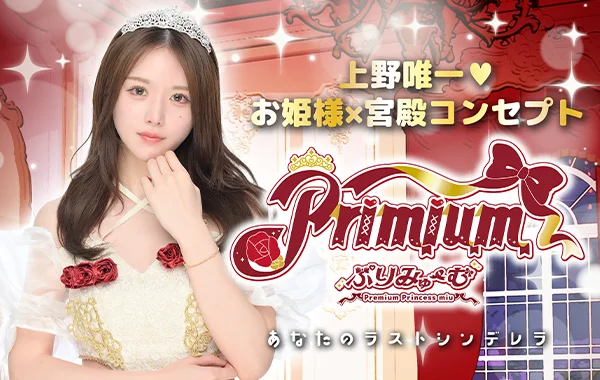 ぷりみゅーむのイメージ