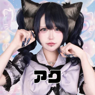 アクさんの写真