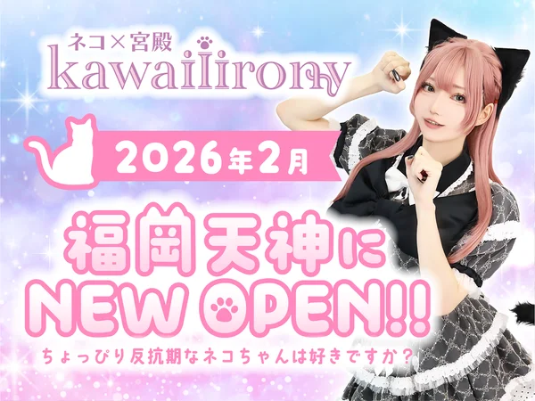 kawaiiironyのイメージ