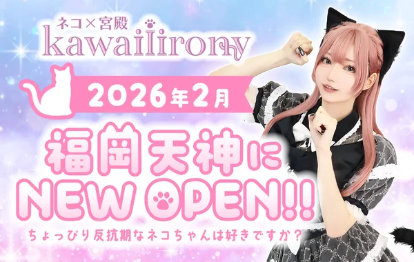 kawaiiironyのイメージ