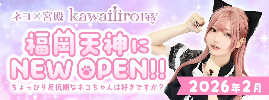 kawaiiironyのイメージ