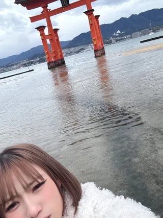 のあさんの画像
