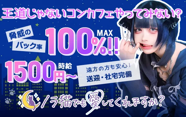 ノラ猫でも愛してくれますか？秋葉原店