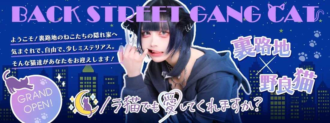 ノラ猫でも愛してくれますか？秋葉原店のイメージ