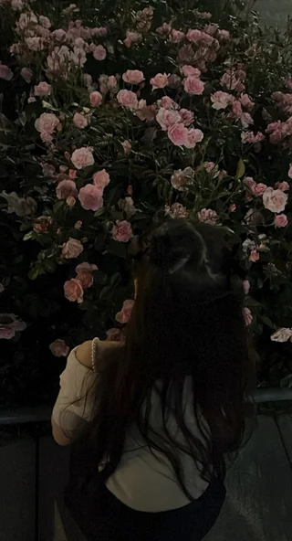 ねねさんの写真