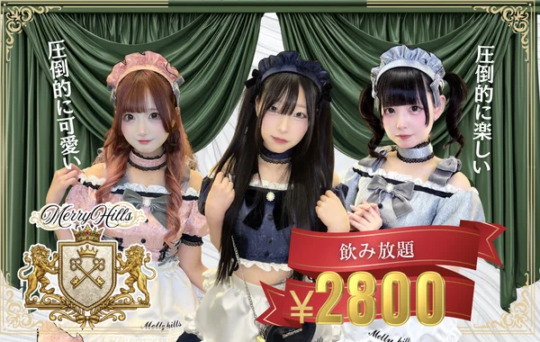 MERRY HILLSのイメージ