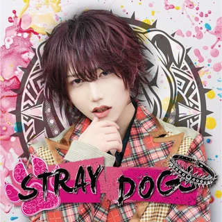 キャストイメージ