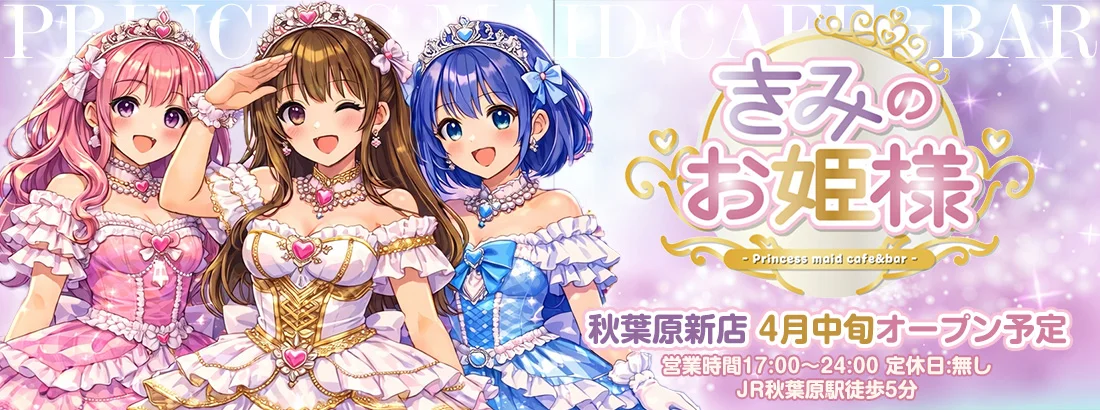 きみのお姫様のイメージ