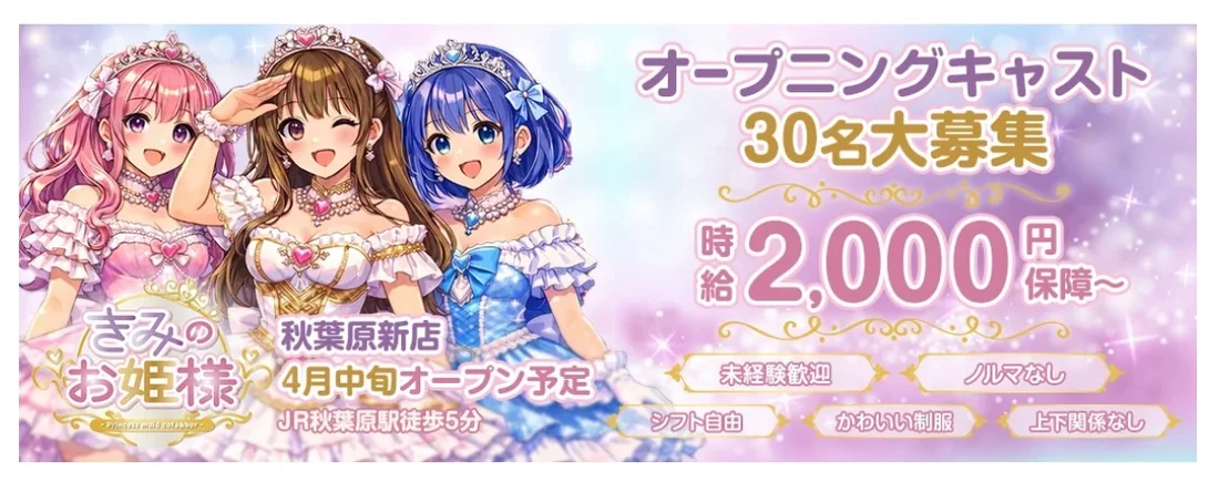 きみのお姫様のイメージ